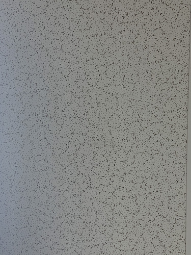 Pattern on the Ceiling