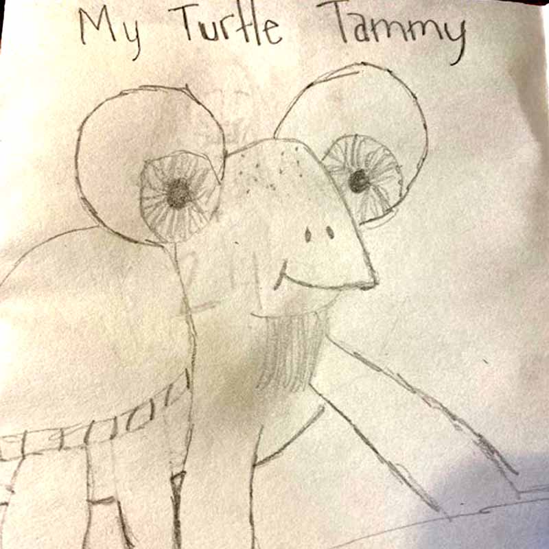 My Turtle Tammy